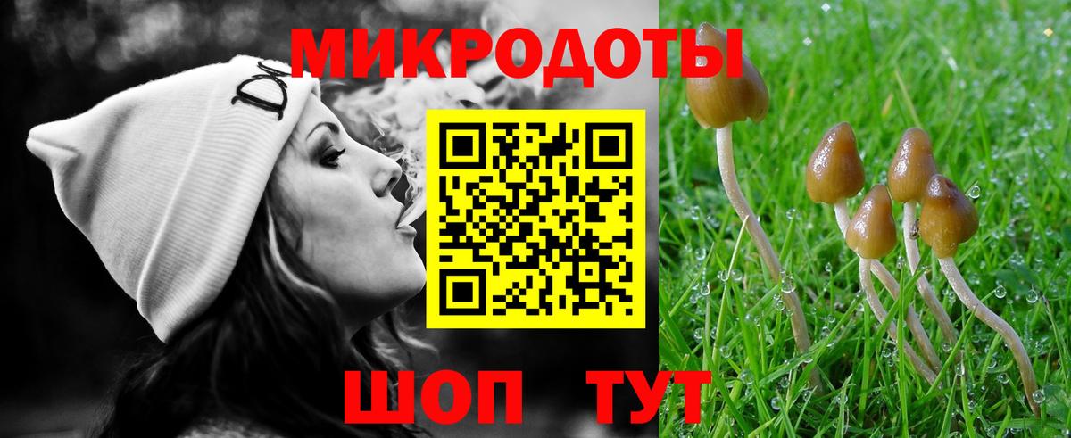 Псилоцибиновые грибы мухоморы Кизилюрт