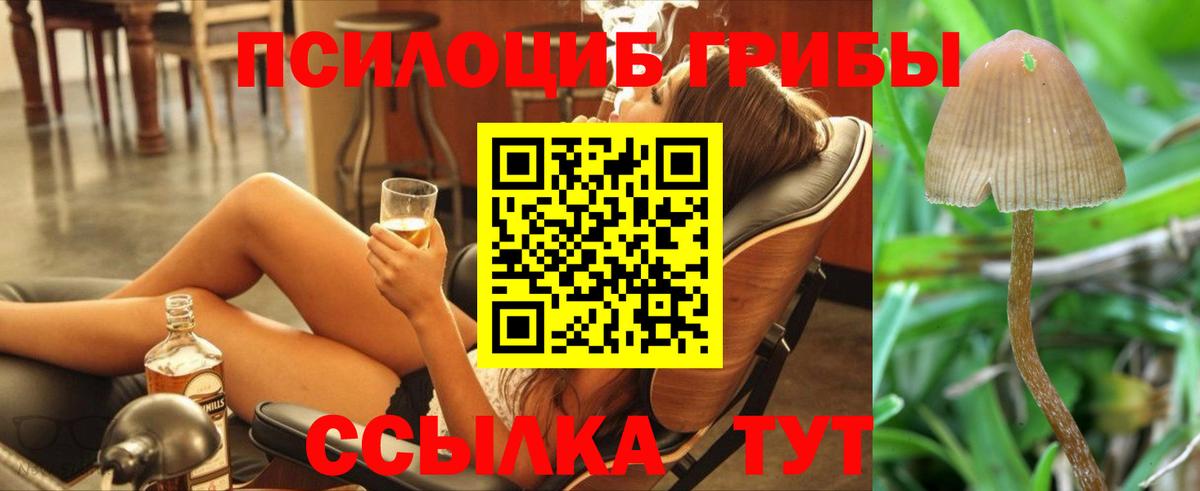Псилоцибиновые грибы прущие грибы  где купить   Кизилюрт  Вход с VPN 